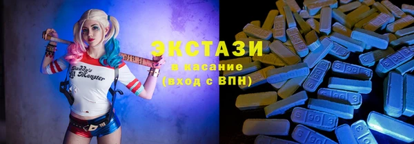индика Зеленодольск