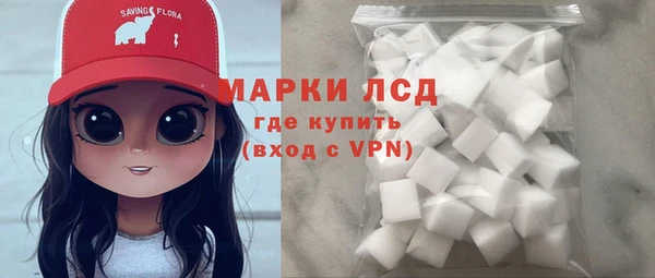 прущие грибы Абинск
