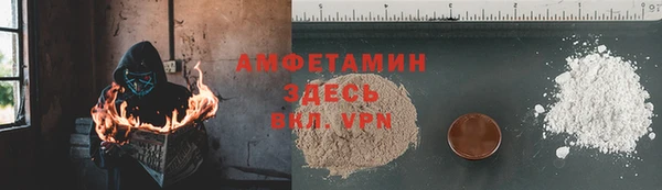 прущие грибы Абинск