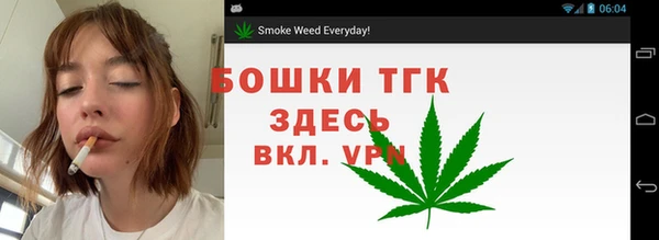 прущие грибы Абинск