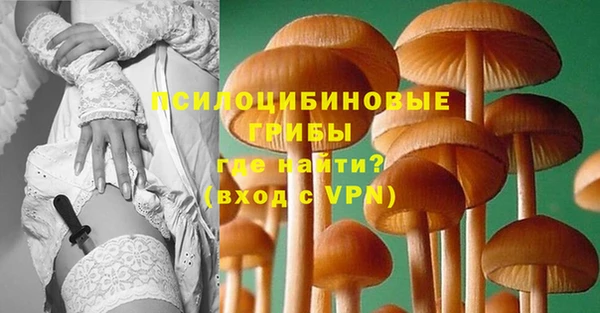 винт Снежногорск