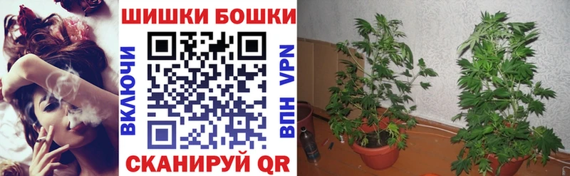 нарко площадка как зайти  Алзамай  Шишки марихуана Bruce Banner  хочу наркоту 
